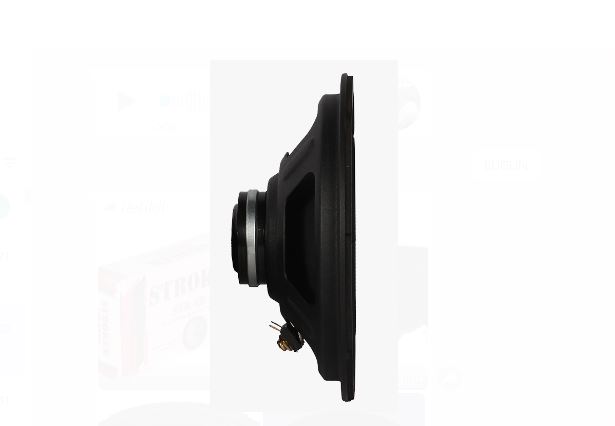 NEODİUM 20 CM MİDRANGE STROKER İNCE MIKNATISLI