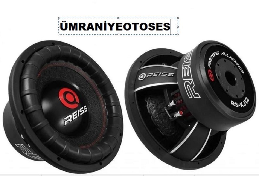 rs-kj12 30 cm çift bobin bas 